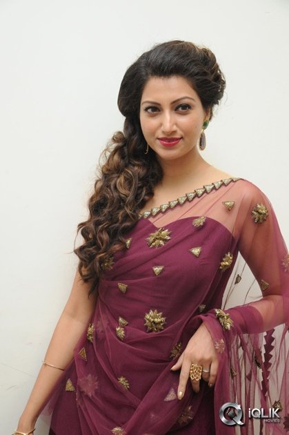 Hamsa-Nandini-at-Bengal-Tiger-Movie-Audio-Launch
